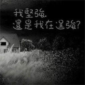 丁文涛《逞强》Flac/MP3格式 无损音乐下载-无损音乐源