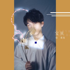 徐秉龙《宝贝》Flac/MP3格式 无损音乐下载-无损音乐源