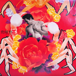 费翔《以防万一》Flac/MP3格式 无损音乐下载-无损音乐源