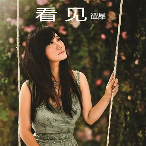 谭晶《龙文》Flac/MP3格式 无损音乐下载-无损音乐源