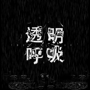 也可《透明呼吸》Flac/MP3格式 无损音乐下载-无损音乐源
