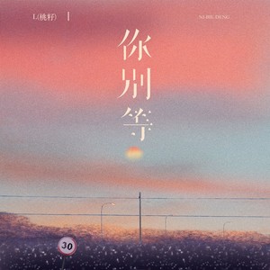 L(桃籽)《你别等》Flac/MP3格式 无损音乐下载-无损音乐源