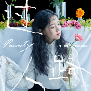 冯希瑶《过路人》Flac/MP3格式 无损音乐下载-无损音乐源
