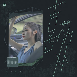 胡66《喜欢》Flac/MP3格式 无损音乐下载-无损音乐源