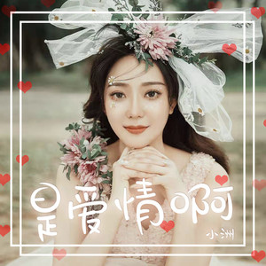 小洲《是爱情啊》Flac/MP3格式 无损音乐下载-无损音乐源