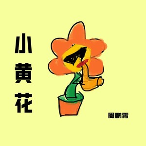 周鹏霄《小黄花》Flac/MP3格式 无损音乐下载-无损音乐源