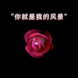 Zy《你的泪滴像倾盆大雨》Flac/MP3格式 无损音乐下载-无损音乐源