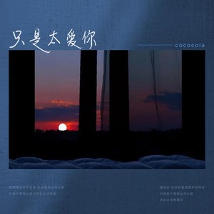 cococola《只是太爱你》Flac/MP3格式 无损音乐下载-无损音乐源