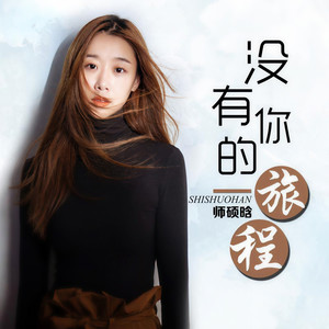 师硕晗《没有你的旅程》Flac/MP3格式 无损音乐下载-无损音乐源