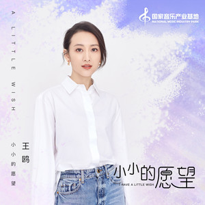 王鸥《小小的愿望》Flac/MP3格式 无损音乐下载-无损音乐源