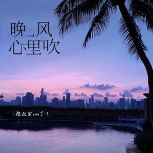 张叔公emo了《晚风心里吹》Flac/MP3格式 无损音乐下载-无损音乐源