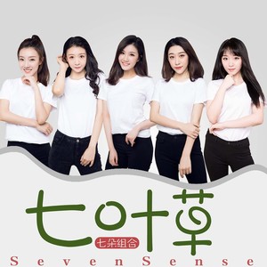 七朵组合《七叶草》Flac/MP3格式 无损音乐下载-无损音乐源
