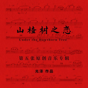 光泽《山楂树之恋》Flac/MP3格式 无损音乐下载-无损音乐源