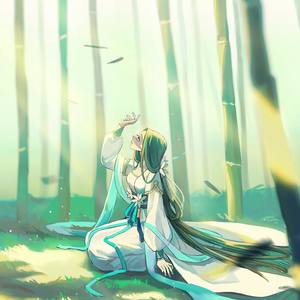 司夏《绮韵》Flac/MP3格式 无损音乐下载-无损音乐源