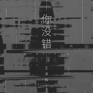 王泽科《你没错》Flac/MP3格式 无损音乐下载-无损音乐源