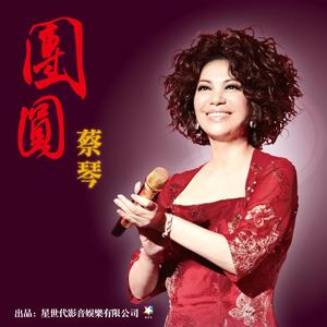 蔡琴《团圆》Flac/MP3格式 无损音乐下载-无损音乐源