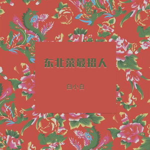 白小白《东北菜最招人》Flac/MP3格式 无损音乐下载-无损音乐源