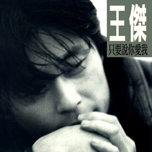 王杰《我只要一个真实的明天》Flac/MP3格式 无损音乐下载-无损音乐源