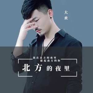 大欢《北方的夜里》Flac/MP3格式 无损音乐下载-无损音乐源