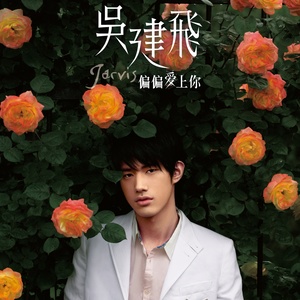 吴建飞《偏偏爱上你》Flac/MP3格式 无损音乐下载-无损音乐源