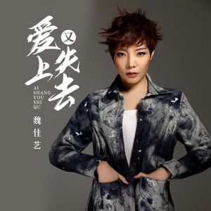 魏佳艺《爱上又失去》Flac/MP3格式 无损音乐下载-无损音乐源