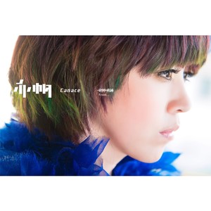 吴亦帆《砍掉重练》Flac/MP3格式 无损音乐下载-无损音乐源