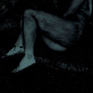 丁可《比一个年轻人小一点的鹤》Flac/MP3格式 无损音乐下载-无损音乐源