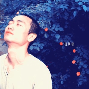 田跃君《斗破苍穹》Flac/MP3格式 无损音乐下载-无损音乐源