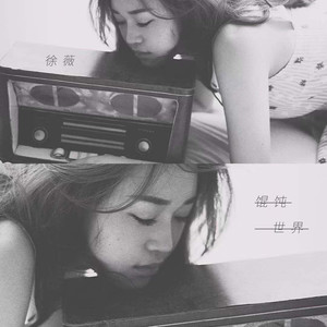 徐薇《馄饨世界》Flac/MP3格式 无损音乐下载-无损音乐源