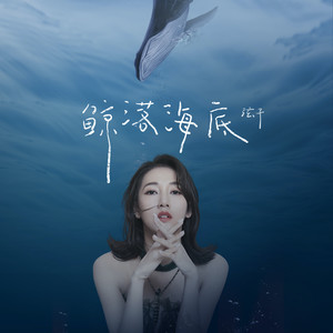 弦子《鲸落海底》Flac/MP3格式 无损音乐下载-无损音乐源