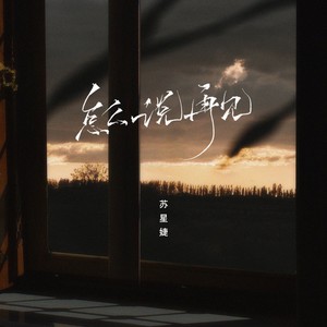 苏星婕《怎么说再见》Flac/MP3格式 无损音乐下载-无损音乐源