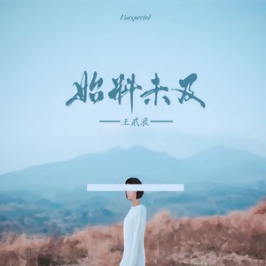 王贰浪《始料未及》Flac/MP3格式 无损音乐下载-无损音乐源