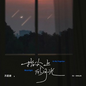 苏星婕《指尖上的月光》Flac/MP3格式 无损音乐下载-无损音乐源