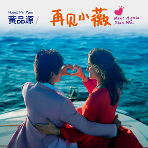黄品源《再见小薇》Flac/MP3格式 无损音乐下载-无损音乐源