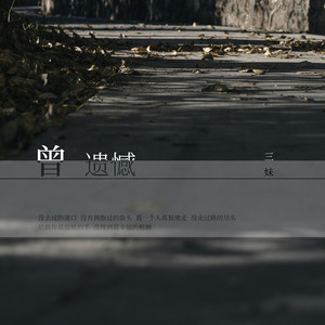 三妹《曾遗憾》Flac/MP3格式 无损音乐下载-无损音乐源