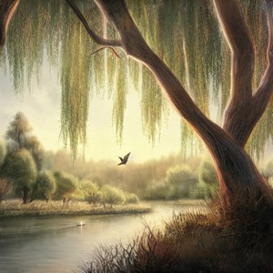 俞淑琴《凤阳歌》Flac/MP3格式 无损音乐下载-无损音乐源