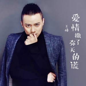 王峰《爱情撒了弥天的谎》Flac/MP3格式 无损音乐下载-无损音乐源