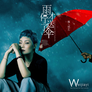 魏佳艺《雨停了才送伞》Flac/MP3格式 无损音乐下载-无损音乐源
