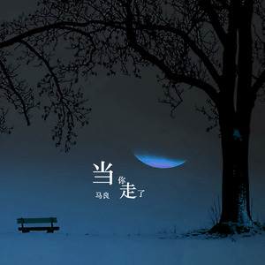 马良《当你走了》Flac/MP3格式 无损音乐下载-无损音乐源