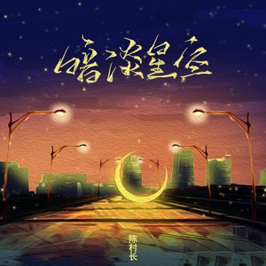 陈村长《暗淡星空》Flac/MP3格式 无损音乐下载-无损音乐源