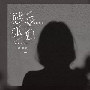 杨胖雨《感受孤独》Flac/MP3格式 无损音乐下载-无损音乐源