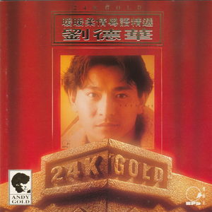 刘德华《我终于失去》Flac/MP3格式 无损音乐下载-无损音乐源