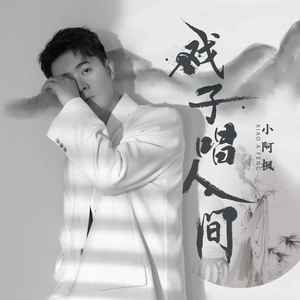 小阿枫《戏子唱人间》Flac/MP3格式 无损音乐下载-无损音乐源