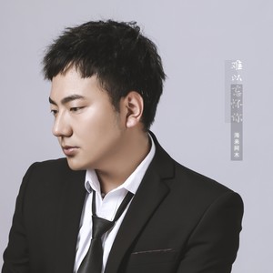 海来阿木《难以忘怀你》Flac/MP3格式 无损音乐下载-无损音乐源