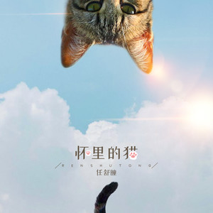 任舒瞳《怀里的猫》Flac/MP3格式 无损音乐下载-无损音乐源