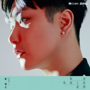 都智文《你说你担心的是我》Flac/MP3格式 无损音乐下载-无损音乐源