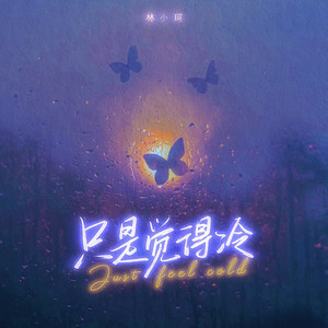 林小珂《只是觉得冷》Flac/MP3格式 无损音乐下载-无损音乐源