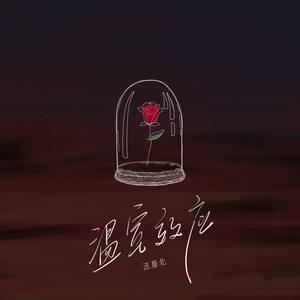 汪居北《温室效应》Flac/MP3格式 无损音乐下载-无损音乐源