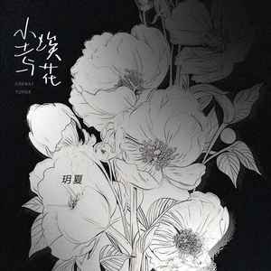 玥夏《尘埃与花》Flac/MP3格式 无损音乐下载-无损音乐源