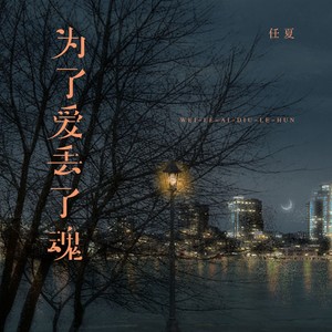 任夏《为了爱丢了魂》Flac/MP3格式 无损音乐下载-无损音乐源